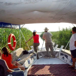 Alternative view of KAPLUMBAĞA VE KUŞ SEYRİ